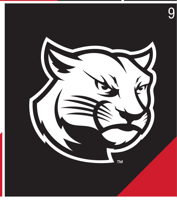 Cougar head logo, black/white on black variant, cell 9