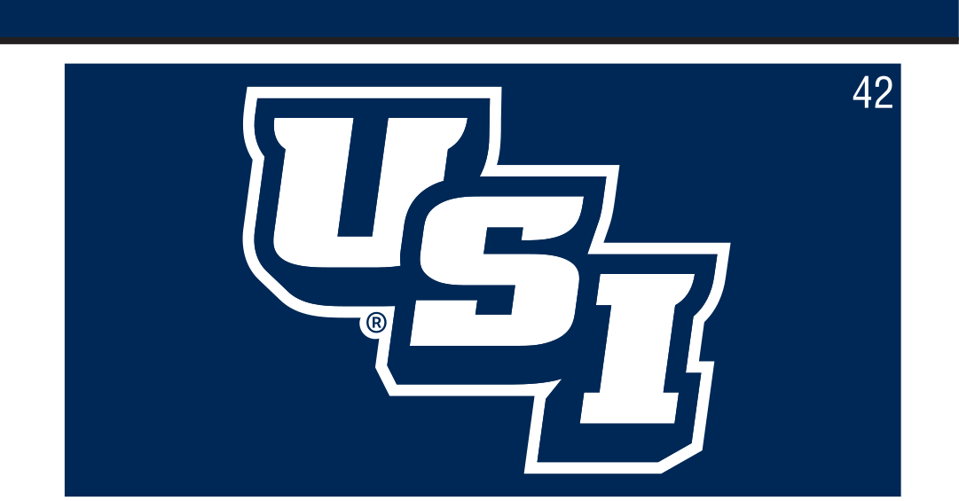 USI lettermark, reverse on navy variant, cell 42