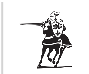 Green Knight on horse, black/white variant, cell 4