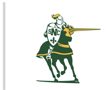 Green Knight on horse, green/gold variant, cell 5