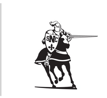 Green Knight on horse, black outline variant, cell 8