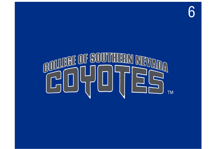 full name wordmark, full color on blue variant, cell 6