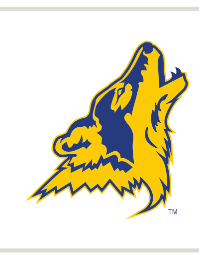 mascot head, full color variant, cell 9
