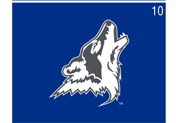 mascot head, full color on blue variant, cell 10
