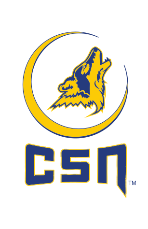 mascot head with CSN lettermark lockup, full color variant, cell 13