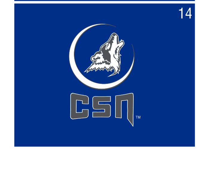 mascot head with CSN lettermark lockup, full color on blue variant, cell 14