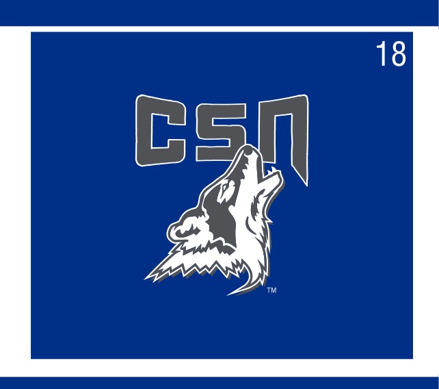 CSN lettermark with mascot head lockup, full color on blue variant, cell 18