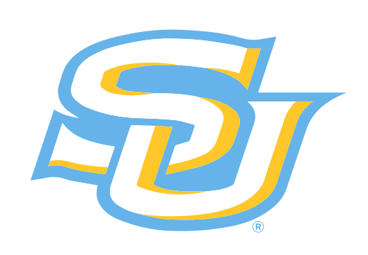 Southern University