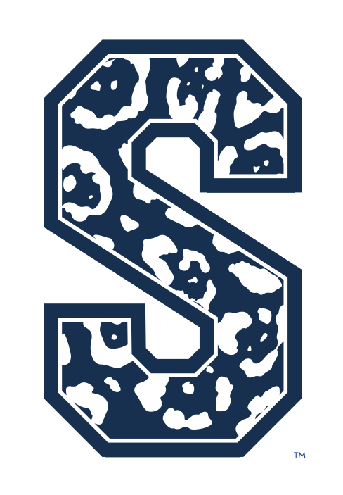 S lettermark with pattern, standard variant, cell 26