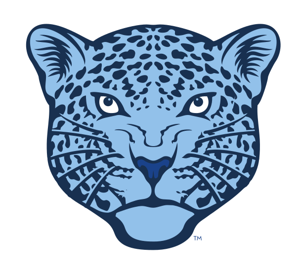 Jaguar mascot head, standard variant, cell 28
