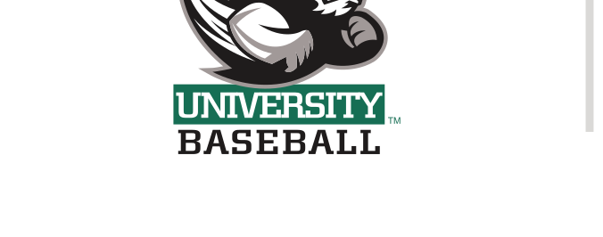 basketball logo, green/black variant, cell 41