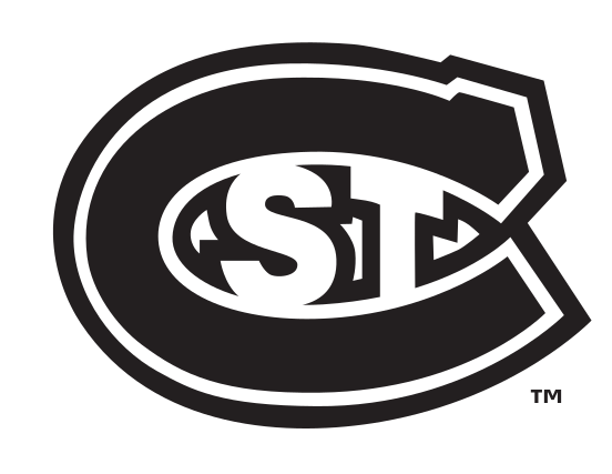 ST lettermark, black/white on white variant, cell 34