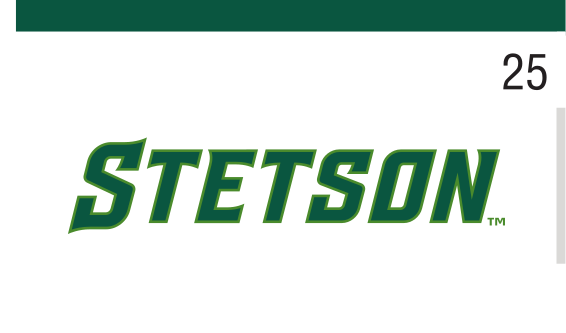 STETSON uniform wordmark, Stetson Green on white variant, cell 25