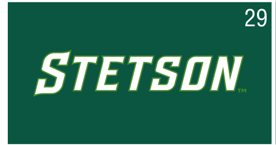 STETSON slanted uniform wordmark, white on Stetson Green variant, cell 29