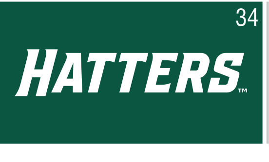HATTERS slanted uniform wordmark, white on Stetson Green variant, cell 34