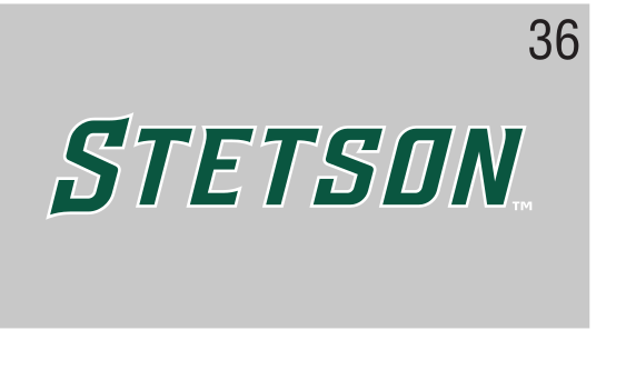 STETSON block uniform wordmark, Stetson Green on white variant, cell 36