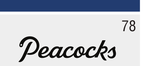 Peacocks Basketball, script lockup black variant, cell 78