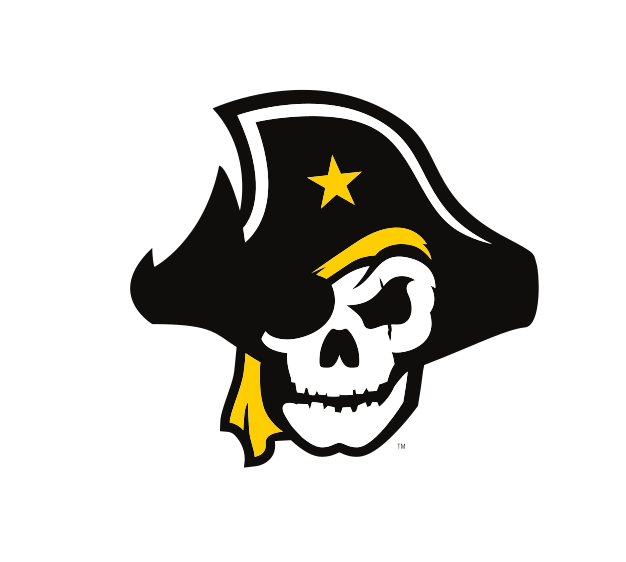 pirate skull, full color variant, cell 29