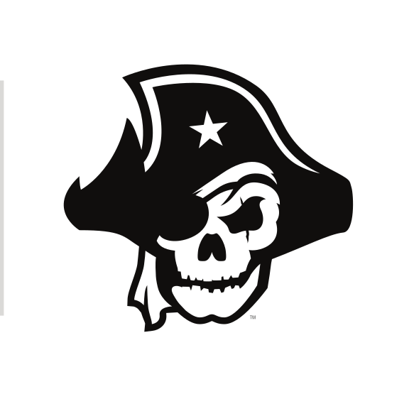 pirate skull, black and white variant, cell 30