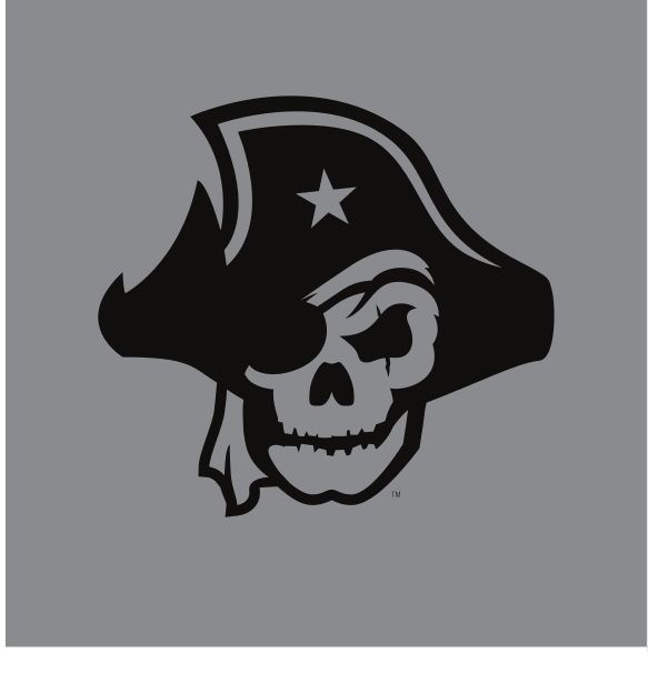 pirate skull, black on grey variant, cell 42