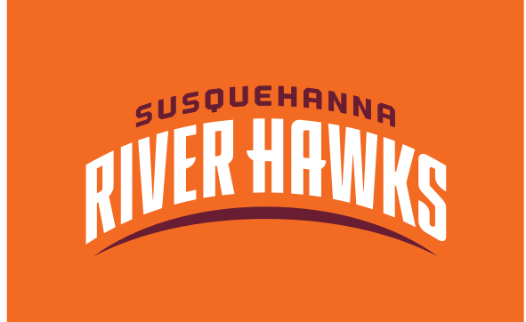 Arched Wordmark, Susquehanna over River Hawks (arched), color on orange variant, cell 33