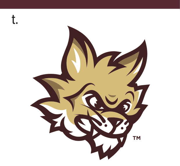Boko the Bobcat mascot head, full color variant, cell 17