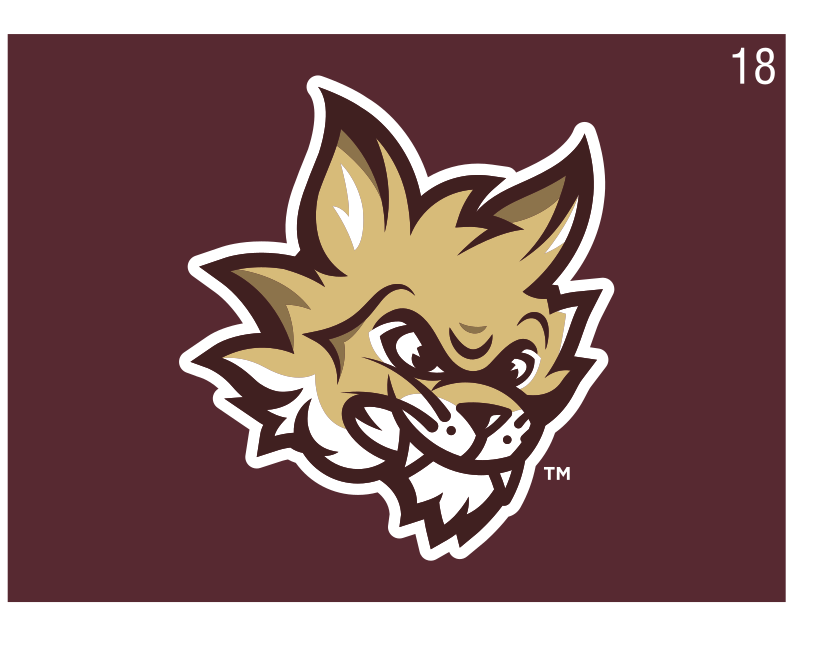 Boko the Bobcat mascot head, full color on maroon variant, cell 18