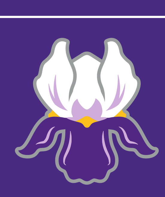 Iris flower, color variant