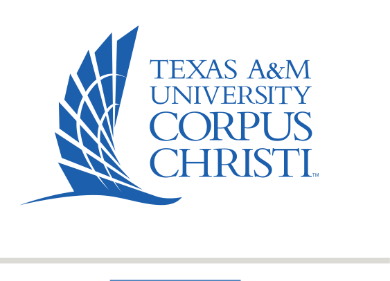 TAMUCC logo, block blue variant, cell 38