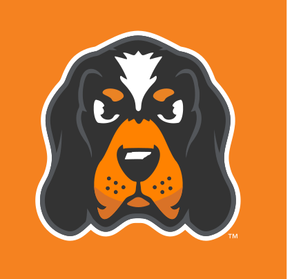 Smokey mascot head, full color variant, cell 36