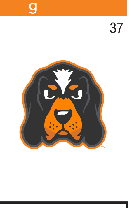 Smokey mascot head, full color on orange variant, cell 37