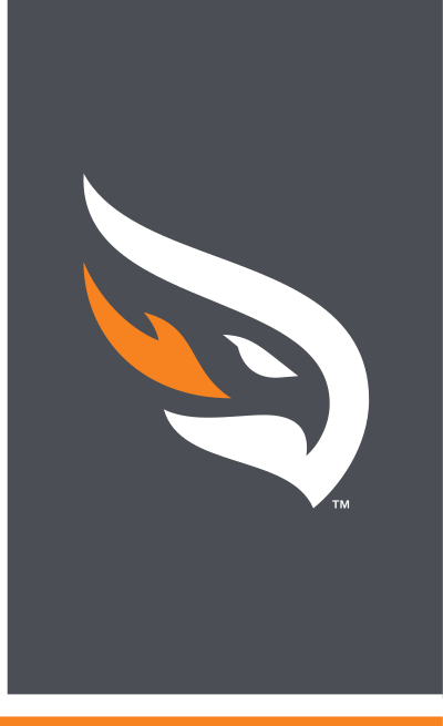bird head icon, full color on grey variant, cell 28