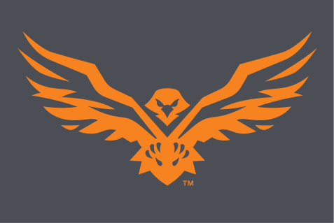 hawk icon, full color variant, cell 30