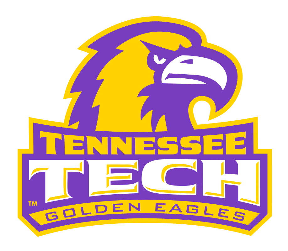 eagle head with Tennessee Tech Golden Eagles wordmark, full color variant, cell 5