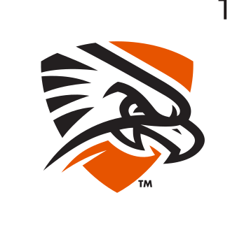 Falcon head, color variant, cell 13
