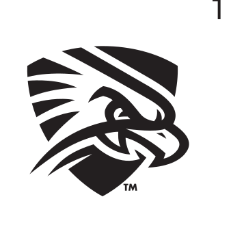 Falcon head, black variant, cell 14