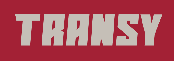 Transy wordmark, white on gray variant