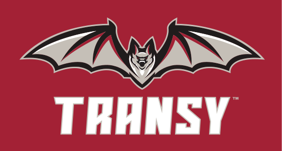 Bat mascot with Transy wordmark, color on gray variant