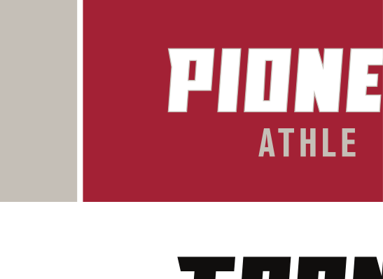 bat mascot with TRANSY BASEBALL wordmark, color on white variant