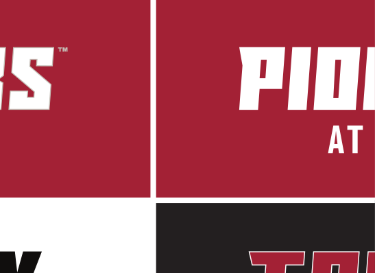 bat mascot with TRANSY BASEBALL wordmark, color on maroon variant