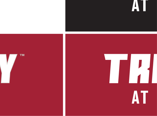 bat mascot with TRANSY BASEBALL wordmark, white on maroon variant