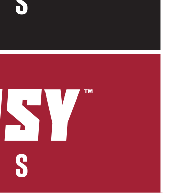 TRANSY BASEBALL wordmark, black on white variant