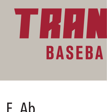 TRANSY BASEBALL wordmark, maroon/black on grey variant