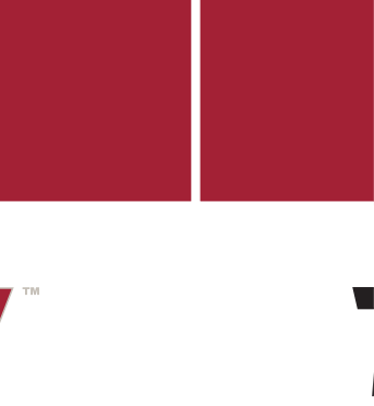 TRANSY ATHLETICS wordmark, maroon/white on black variant