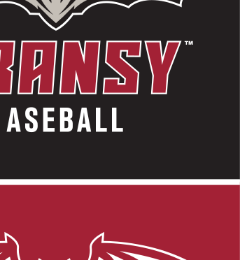 TRANSY ATHLETICS wordmark, white/black on maroon variant