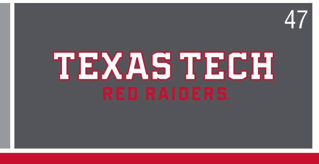 Texas Tech Red Raiders wordmark, horizontal, grey background variant, cell 47