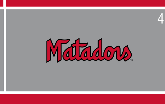 Matadors wordmark, script, grey background variant, cell 46