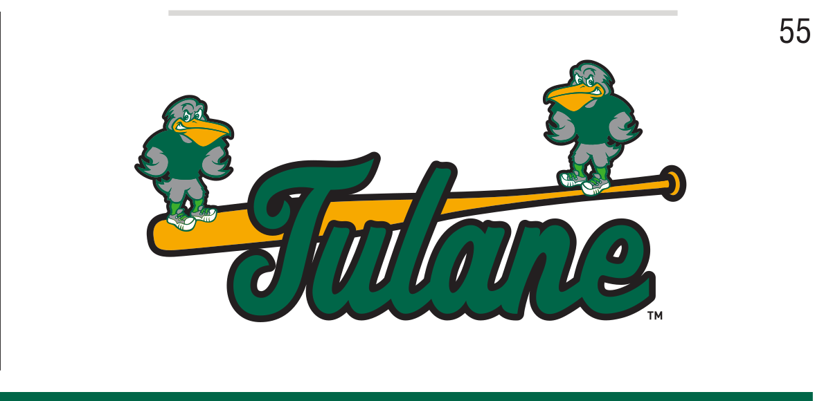 Sluggerbird mascot with script wordmark, full color, green script variant, cell 55