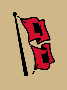 Hurricane flag, full color on gold variant, cell 8