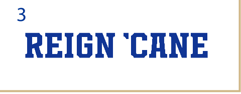 REIGN 'CANE wordmark, blue variant, cell 33